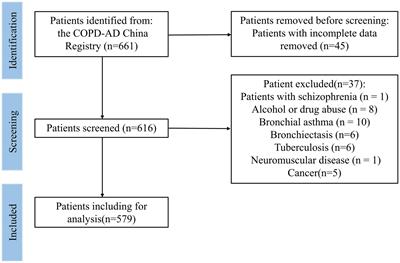 Clinical and economic burden of anxiety/depression among older adult COPD patients: evidence from the COPD-AD China Registry study